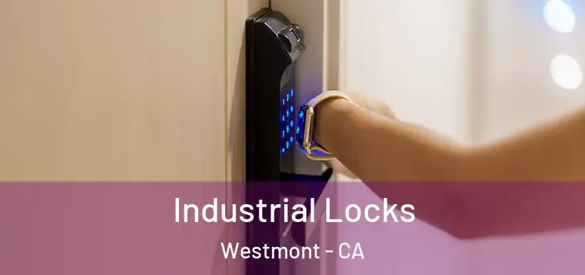  Industrial Locks Westmont - CA